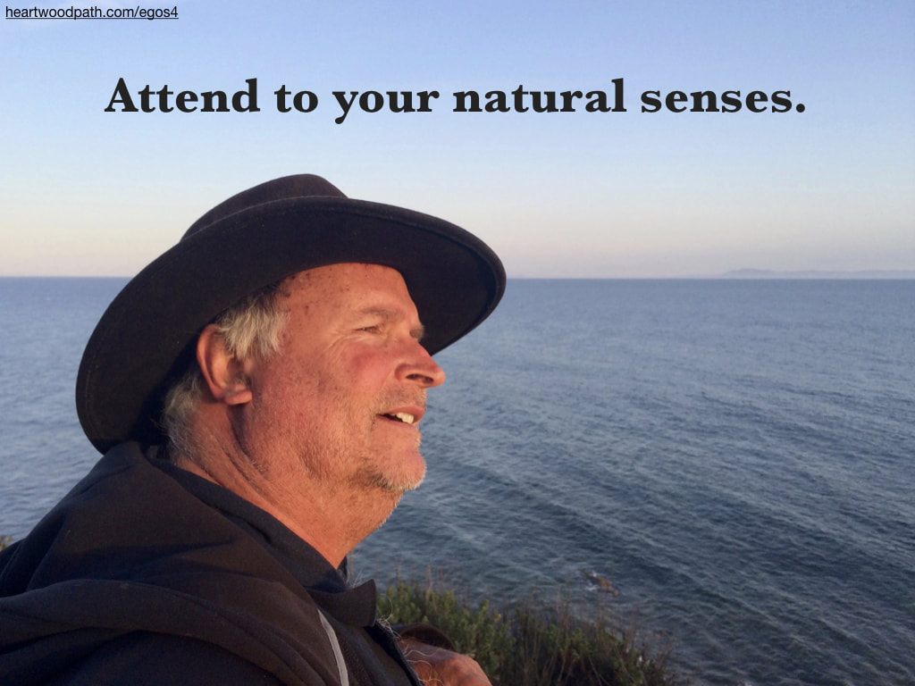 picture-life-coach-don-pierce-saying-Attend to your natural senses