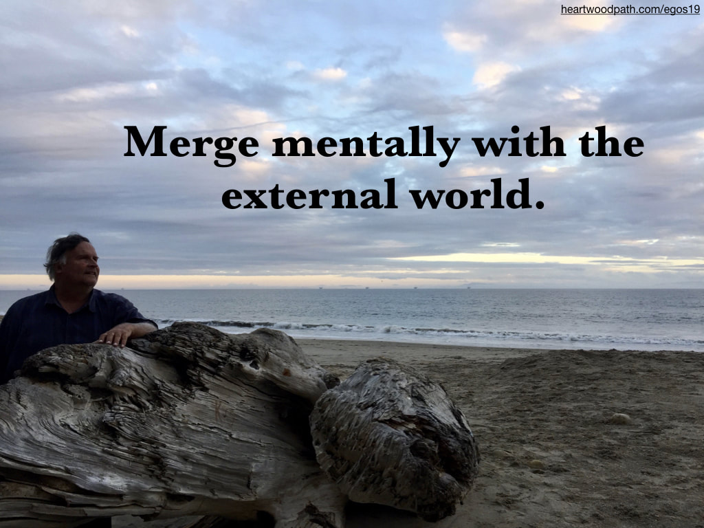 picture-life-coach-don-pierce-saying-Merge mentally with the external world