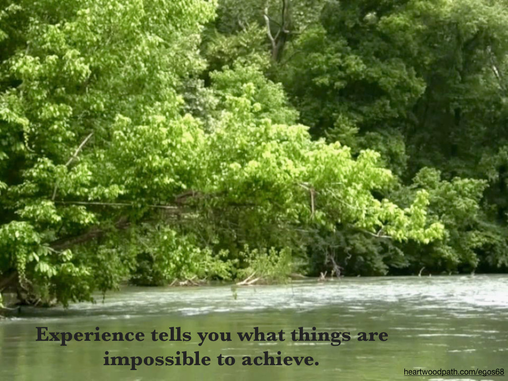Picture green forest river quote Experience tells you what things are impossible to achieve
