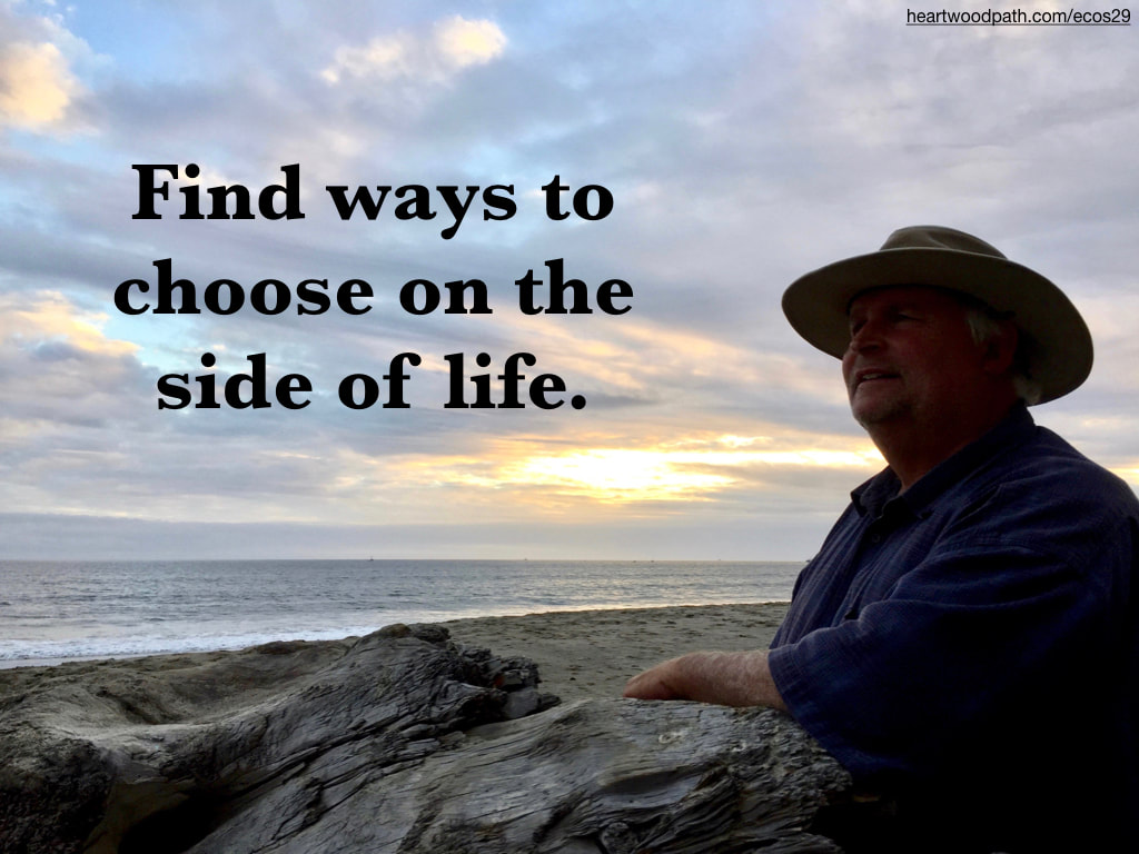picture-don-pierce-life-coach-saying-Find ways to choose on the side of life.
