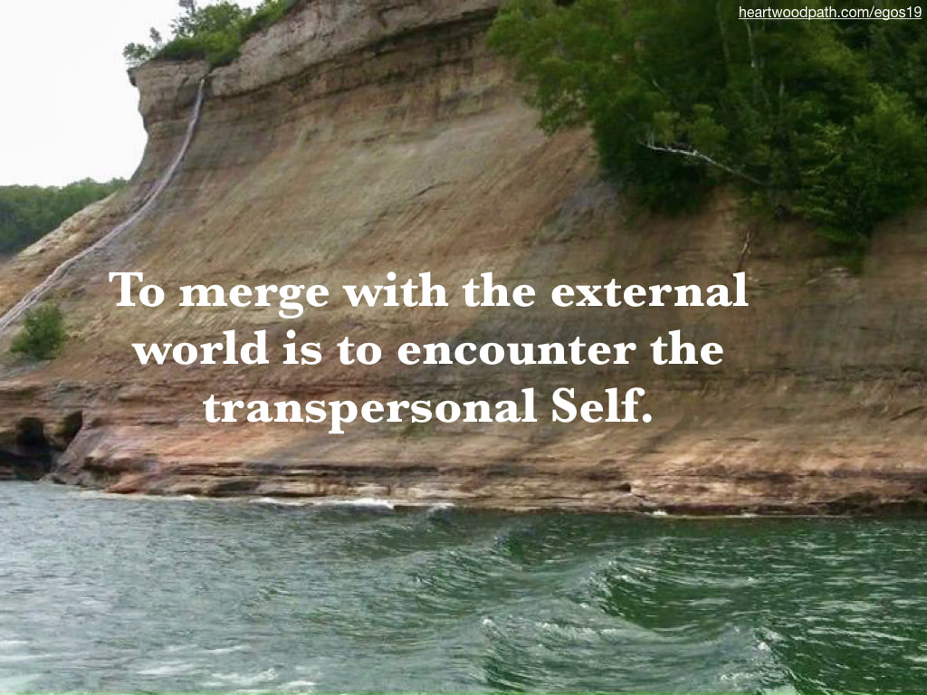 Picture canyon river quote To merge with the external world is to encounter the transpersonal Self
