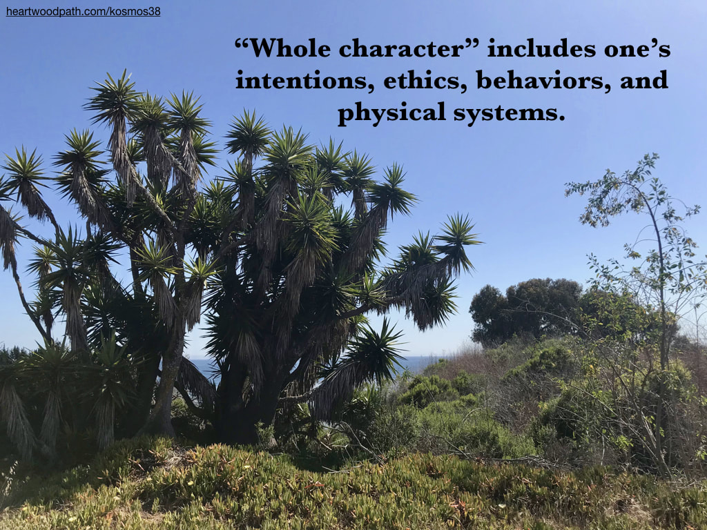picture of trees near the ocean and quote “Whole character” includes one’s intentions, ethics, behaviors, and physical systems